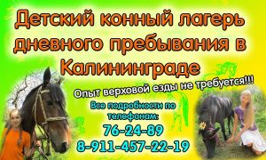 КАПРИОЛЬ САЙТ